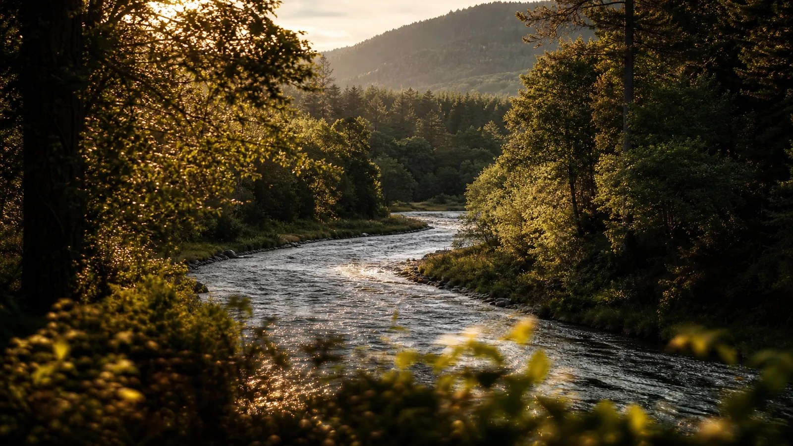 Rivière Spey, whisky du Speyside