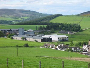 histoire du whisky jusqu'à aujourd'hui