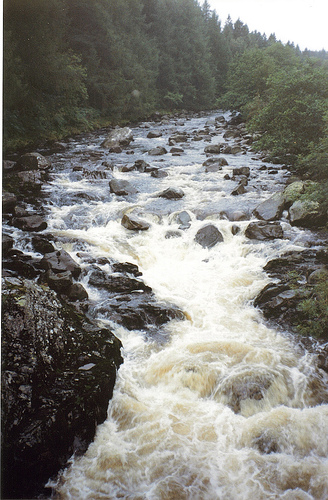 rivière Galloway Forest
